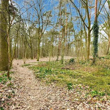 Stille B13